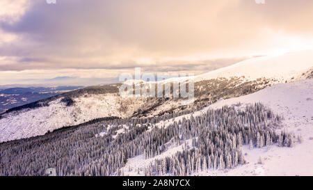 Vista aerea della coperta di neve foresta al tramonto, Vitosha, Bulgaria. Foto Stock