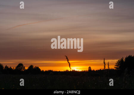 Tramonto sul prato estivo. Bellissimo tramonto panoramico con raggi di sole che splende attraverso le nuvole in cielo. Set di sole oltre l'orizzonte closeup. La bellezza del Foto Stock