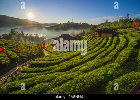 La piantagione di tè sulla natura delle montagne di Ban Rak Thai, Mae Hong Son, Thailandia Foto Stock