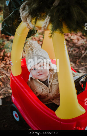 Little Boy portando ad albero di natale Home sulla parte superiore di una macchina giocattolo Foto Stock