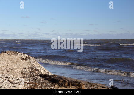 Un tumulo di grandi dimensioni su una spiaggia nella regione dei Grandi Laghi coperti con invasivo zebra mussel gusci Foto Stock