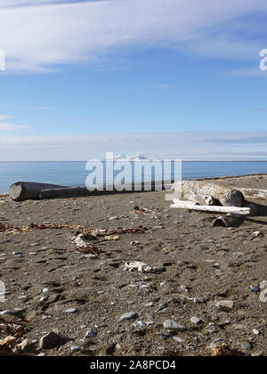 Viste dall'arcipelago Spitzbergen e dell'isola di Prinz Karls Forlí e Isole Svalbard, Norvegia Foto Stock