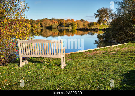 In legno panchina del parco che si affaccia su una pittoresca autunnale alberata acque di bosco in Ancaster nel Lincolnshire su un luminoso giorno di caduta Foto Stock