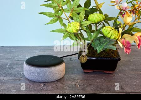 Echo Dot 3rd generazione con luci blu accese e logo del dispositivo  stampato su carta. Altoparlante intelligente con assistente Alexa. Foto  reale, non un montaggio Foto stock - Alamy