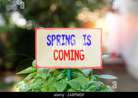 Segno di testo che mostra la primavera è alle porte. Business photo testo dopo la stagione invernale si sta avvicinando a godere la natura fiori sun pianura carta vuoti attaccati ad un st Foto Stock