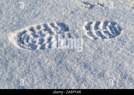 Orme nella neve. Chiara impronta del battistrada sulla suola della scarpa sul bianco della neve. Foto Stock