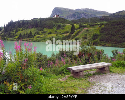 Rosa e fiori di campo vuoto banco in pietra che si affaccia sul lago austriaco con sfondo di montagna Foto Stock