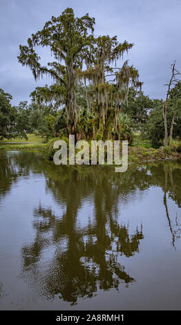 City Park, New Orleans Foto Stock