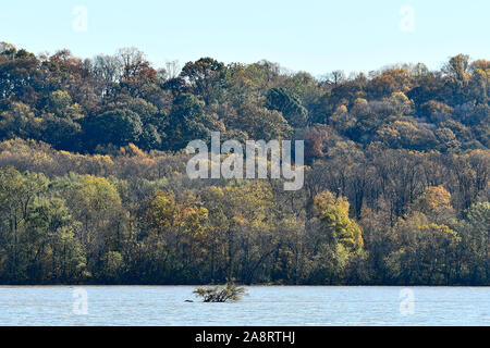 Il fiume Susquehanna litorale in Maryland Foto Stock