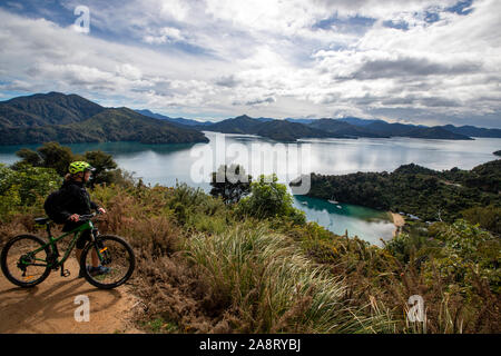 I ciclisti sul percorso di collegamento, Marlborough Sounds, Nuova Zelanda Foto Stock