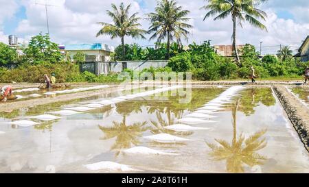 Pile di raccolte di sale marino in un campo di fattoria che produce sale da evaporare l'acqua di mare nel sole, nella provincia di Kampot, Cambogia. Foto Stock