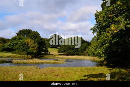 Fiume Hamble Country Park, Bursledon, vicino a Southampton, Hampshire, Regno Unito Foto Stock