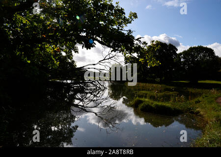 Fiume Hamble Country Park, Bursledon, vicino a Southampton, Hampshire, Regno Unito Foto Stock