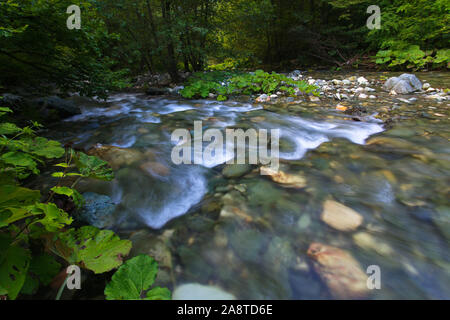 Il fiume Radika a Mavrovo National Park, Macedonia Foto Stock