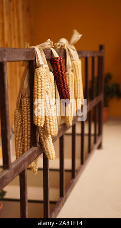 Mature essiccato di pannocchie di granoturco appeso sul vecchio balcone di legno - concetto di agricoltura Foto Stock