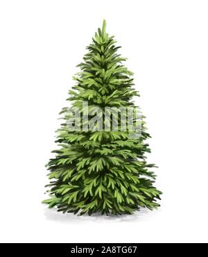 Spruce ,albero di natale, arte illustrazione dipinto con acquerelli isolati su sfondo bianco. Foto Stock