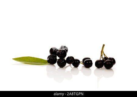 Chokeberry fresco con foglie isolati su sfondo bianco. Acai frutto. Foto Stock