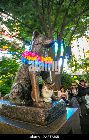 Hachiko monumento, vista della statua in bronzo di Hachiko alla Stazione di Shibuya. Hachiko era un famoso cane che ha aspettato per il proprietario dopo la sua morte. Shibuya, Tokyo, Foto Stock