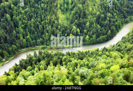 Mountain river between mountain green peaks landscape Foto Stock