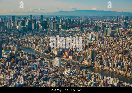 Vista di Tokyo da Tokyo Sky Tree. Sullo sfondo il Monte Fuji. Crociere sul fiume Sumida. Quartiere Sumida. Tokyo. Giappone Foto Stock