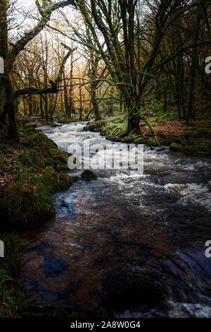 Il fiume Fowey che fluisce attraverso un Draynes autunnali antichi boschi in Cornovaglia. Foto Stock