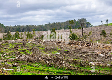 Registrazione e deforstation in Victoria, Australia Foto Stock