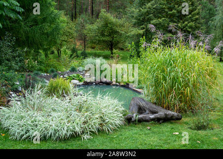 Decorativi disposti splendidamente laghetto in giardino d'autunno Foto Stock