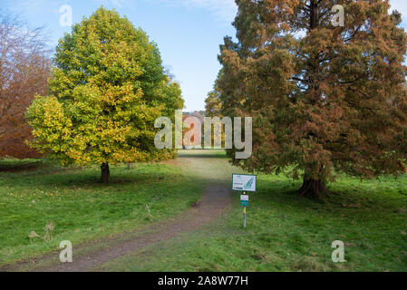 Levens Hall park vicino a Milnthorpe in Cumbria Foto Stock
