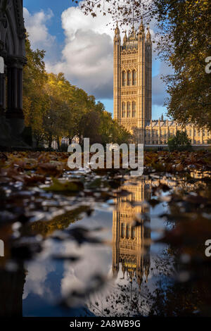 Autunno a Londra Victoria Torre del Palazzo di Westminster e foglie di autunno riflessa nella torre di Victoria Gardens. 8 Nov 2019 Victoria Tower è un quadrato a Foto Stock