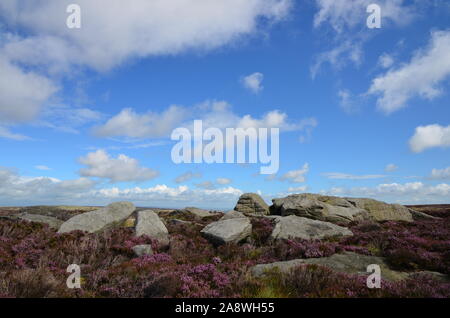 Alcomden pietre, Stanbury Moor, West Yorkshire Foto Stock