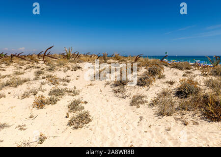 Il cimitero abbandonato ancora ancore, Cemitério das âncoras sulla spiaggia di Barril, Santa Luzia Algarve, Portogallo. Foto Stock