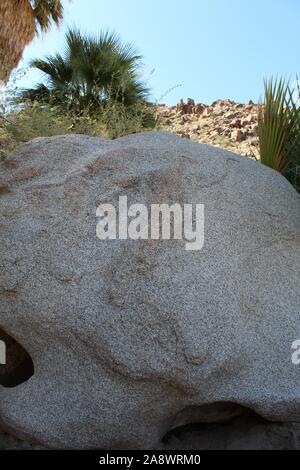 Le rocce in 49 oasi di palme di Joshua Tree National Park sono resi in forme uniche da tempo, temperatura e gli elementi del sud del Deserto Mojave. Foto Stock