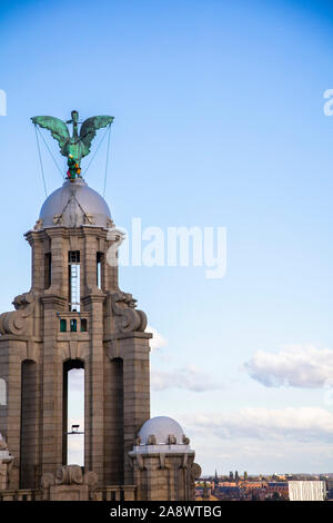 Liverpool, Regno Unito - 30 Ottobre 2019: Uno degli uccelli del fegato sulla parte superiore dell'iconico Royal Liver Building in Liverpool Foto Stock