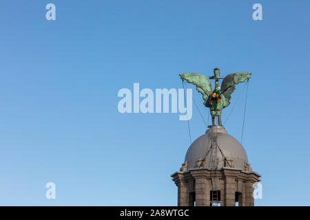 Liverpool, Regno Unito - 30 Ottobre 2019: Uno degli uccelli del fegato sulla parte superiore dell'iconico Royal Liver Building in Liverpool Foto Stock