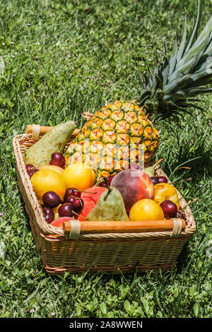 Ricco raccolto dal giardino - ananas, pera, pesche, prugne, mele, ciliegie Foto Stock