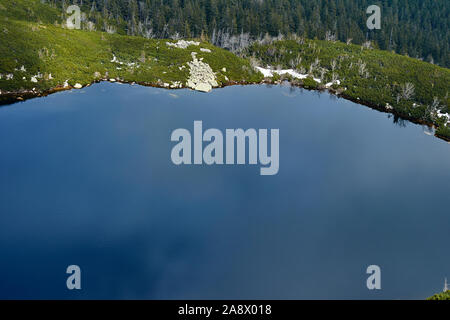 La foresta di conifere e Wielki Staw in Monti dei Giganti in Polonia Foto Stock