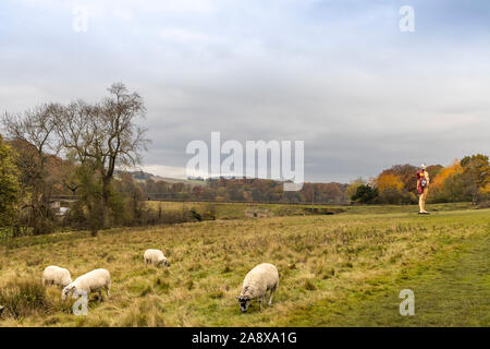 Scenic autunnale di vedute del Yorkshire Sculpture Park vicino a Wakefield, Regno Unito con sculture moderne. Foto Stock