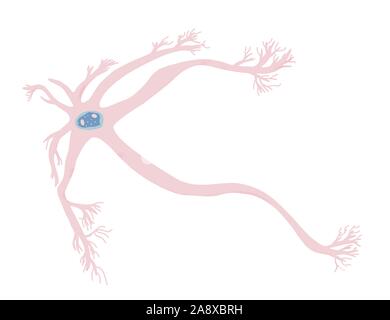 Cellule di neuroni con lunghi assoni. Vector illustartion. Illustrazione Vettoriale