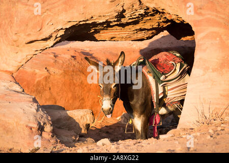 Wadi Rum Desert in Giordania Foto Stock