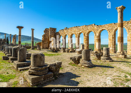 Volubilis, Interno della Basilica, rovine Romane vicino alla città di Meknes. Volubilis è stato scavato dal francese 1912-1956 Marocco Foto Stock