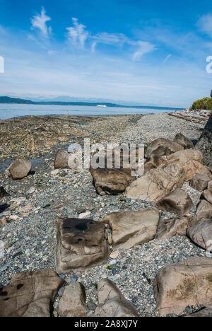 Rocky Alki Beach con una donna sola sulla riva e un traghetto in Puget Sound a ovest di Seattle, Washington.