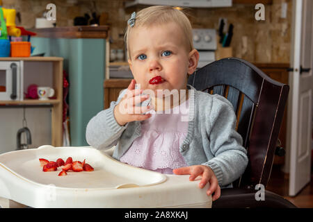 Giovani femmine toddler, con grandi occhi blu, seduto nel suo seggiolone, godendo di mangiare uno spuntino a base di fragole, con uno nella sua bocca. Foto Stock