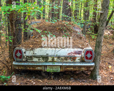 Vecchio arrugginito veicoli abbandonati nella vecchia città dell'auto junkyard in bianco in Georgia negli Stati Uniti Foto Stock