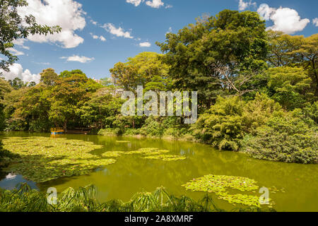 I giardini botanici di Medellin, Colombia. Foto Stock