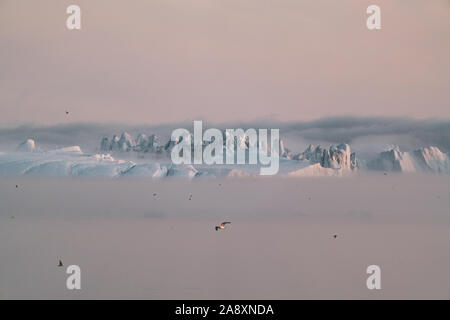 Iceberg intrecciati nella nebbia in corrispondenza della bocca dell'icebergs vicino a Ilulissat. Natura e paesaggi della Groenlandia. Viaggio su nave tra il CIEM. Phenome Foto Stock