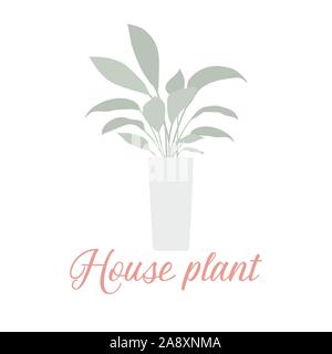 Illustrazione Vettoriale con pianta di casa isolata su sfondo bianco. Potted houseplant. Verde decorazioni naturali per la casa e l'interno. Sfondo alla moda. Fl Illustrazione Vettoriale