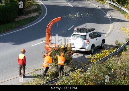 Maienfeld, GR / Svizzera - 11 Novembre 2019: città equipaggio di manutenzione con una cippatrice e shredder chiara e pulita spallamento stradale della vegetazione Foto Stock