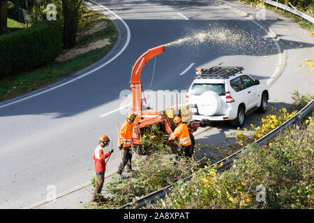 Maienfeld, GR / Svizzera - 11 Novembre 2019: città equipaggio di manutenzione con una cippatrice e shredder chiara e pulita spallamento stradale della vegetazione Foto Stock
