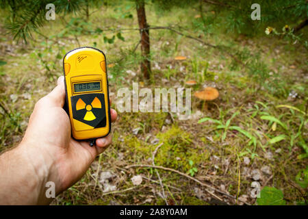 Un dosimetro in mani con un livello di radioattività nei pressi di funghi nella città di pripjat, Chernobyl Zona di esclusione. Foto Stock