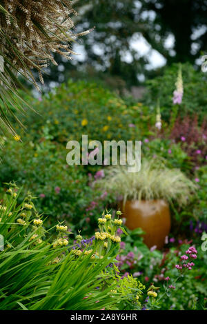 Phlomis Russeliana,giallo,fiori,fiore,fioritura combinazione,mix,confine misti,Garden cottage,pentola smaltata,contenitore,RM Floral Foto Stock